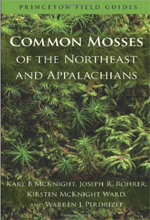 common-mosses