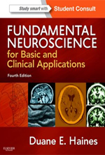 fundamental-neuroscience