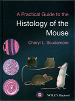 Histology of the Mouse
