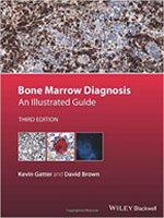 bone marrow