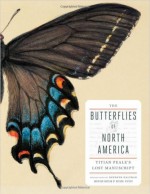 Butterflies-North-America