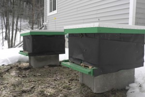 Both DBA hives survived the long and harsh Vermont winter.