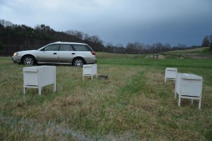 Newly installed nucleus colonies at the Dartmouth Organic Farm 