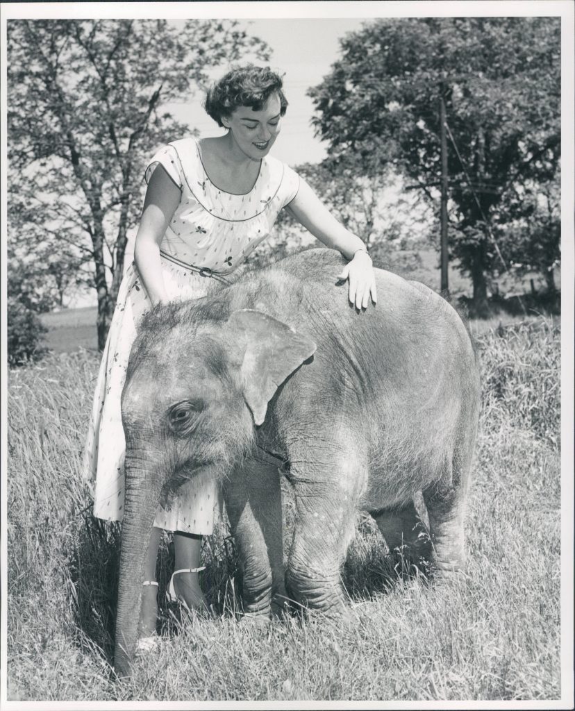 Woman with baby elephant