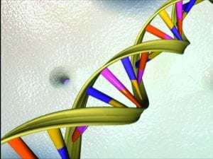 Modern science has continually strived to find genetic markers of sexuality in DNA. However, it remains unclear whether sexuality is primarily determined by nature, as in genetic determinants found in DNA, or nurture, as in the environments in which children and adolescents develop.
