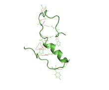 new peptide structure