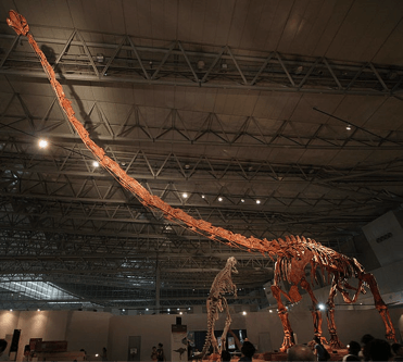 Long-Necked Dino