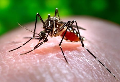The Viral Secret Behind Mosquito Attraction