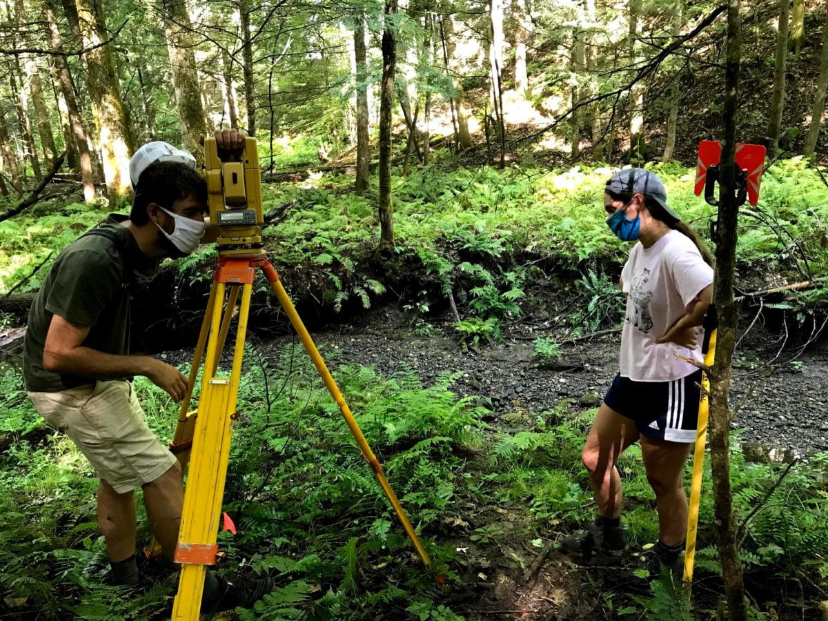 Total stations in forest