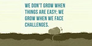 Motivational Picture of a Plant Growing. Caption: We don't grow when things are easy, we grow when we face challenges.