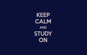 Motivational Picture. Caption: Keep calm and study on.