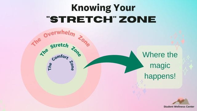 Stepping into Bravery: Knowing your “Stretch Zone” – Reflections from the  SWC