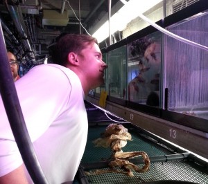 James gets up close and personal with a tank of fish behind the scenes as our guide tells us about Project Piaba.