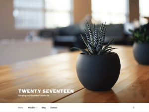 Twenty Seventeen theme screenshot